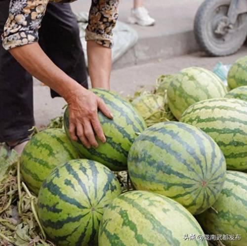 武都美食街排名前十(武都美食街早餐一条街)插图28
