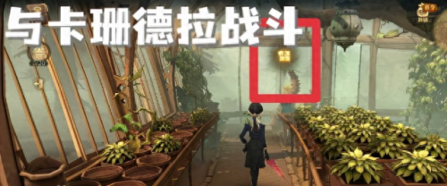 不用管啼哭的曼德拉草和发出(怎么捕捉曼德拉草)插图2