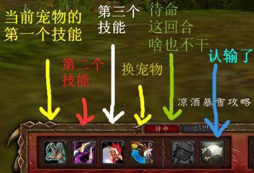 魔兽世界宠物对战升级攻略(魔兽世界宠物怎么打怪)插图5