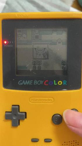 口袋怪兽金版攻略(口袋怪兽红宝石完美版详细攻略)插图