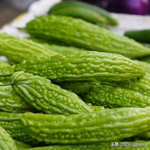 武都美食街排名前十(武都美食街早餐一条街)插图27