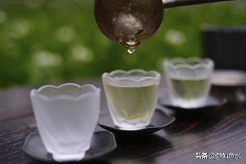 如鱼水是什么茶(清泉属于什么茶)插图18
