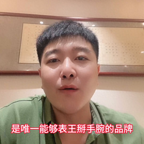 男款手表排名前十(手表排行榜男款)
