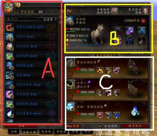 魔兽世界宠物对战升级攻略(魔兽世界宠物怎么打怪)插图1