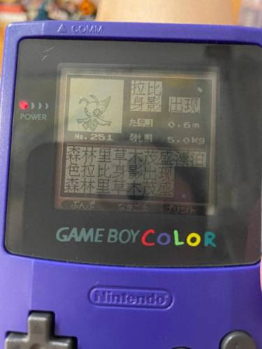 口袋怪兽金版攻略(口袋怪兽红宝石完美版详细攻略)插图5