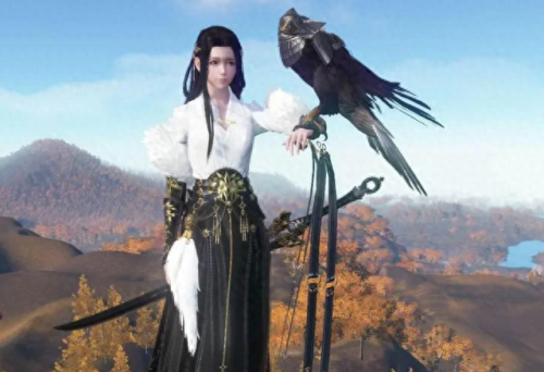 天涯明月刀身份选择(天涯明月刀身份属性表)插图1