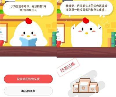 丹顶鹤的丹顶(丹顶鹤第二故乡丹顶)