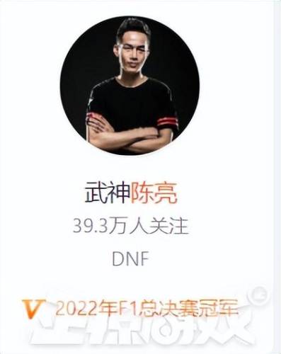 dnf职业排行2021(dnf2021职业排行榜)插图6