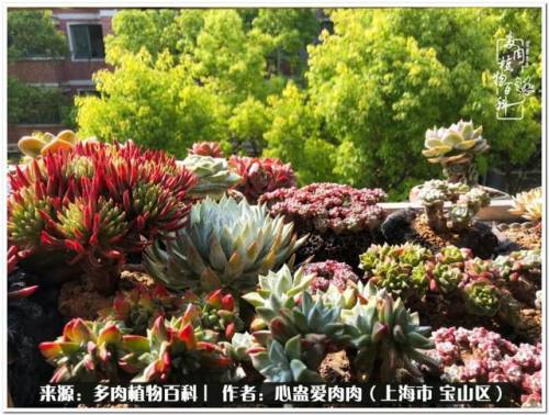植物大战僵尸2激活码2022(植物大战僵尸2激活码领取)插图50
