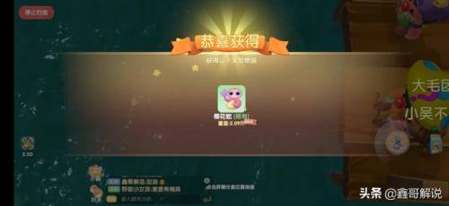 毛毛爆囧菇(杨辣毛毛虫叫什么)插图24
