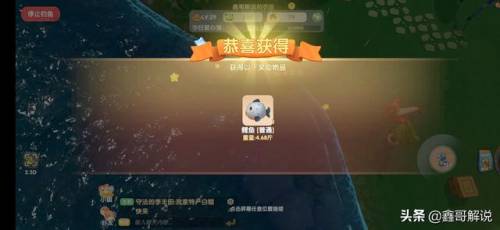 毛毛爆囧菇(杨辣毛毛虫叫什么)插图9