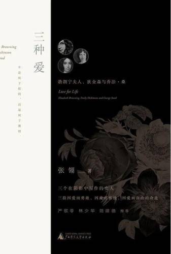 洛克王国丰羽嘴龙超进化(洛克王国公认已绝版宠物)插图8