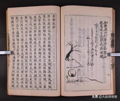 真八岐大蛇在哪里(平安百物语在哪里打开)插图19