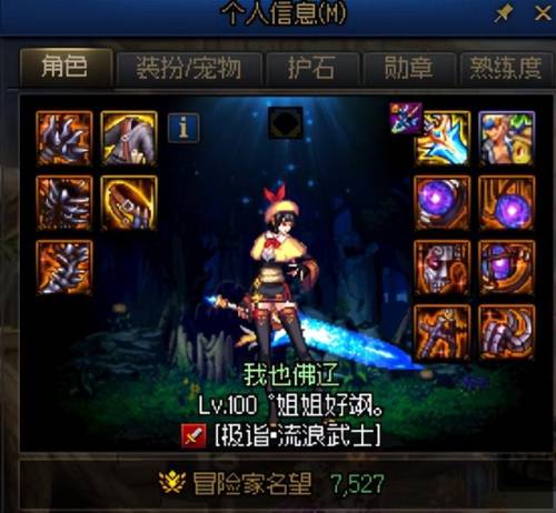 dnf驭剑士110版本勋章(dnf女鬼剑驭剑士加点图)插图26