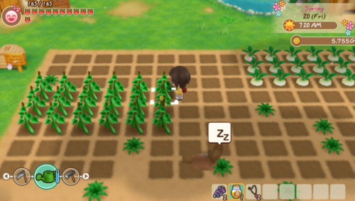 牧场物语重聚矿石镇手机版(重聚矿石镇移植安卓)插图3