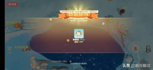 毛毛爆囧菇(杨辣毛毛虫叫什么)插图16