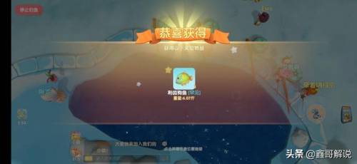 毛毛爆囧菇(杨辣毛毛虫叫什么)插图15