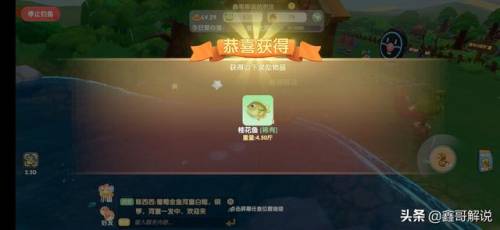 毛毛爆囧菇(杨辣毛毛虫叫什么)插图