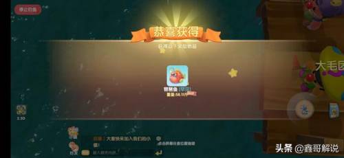毛毛爆囧菇(杨辣毛毛虫叫什么)插图25