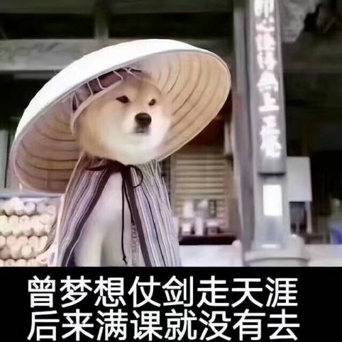 梦幻诛仙手游丹青阁(丹青阁在哪里)插图1