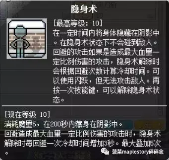 暗影双刀主要输出技能(暗影双刀全加运气吗)插图21