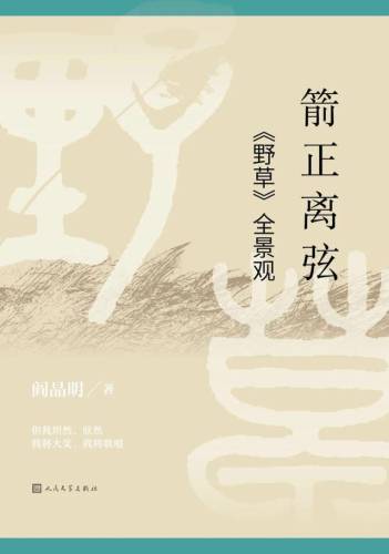 洛克王国丰羽嘴龙超进化(洛克王国公认已绝版宠物)插图13