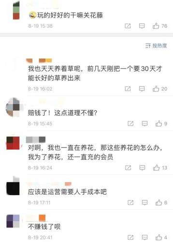 小时代游戏为什么停运(小时代游戏还能玩吗)插图9