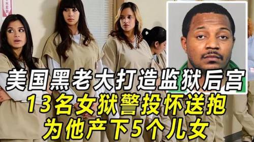 监狱大亨手机中文版(监狱大亨)插图