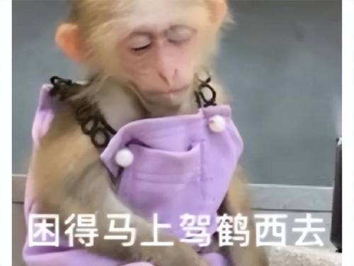 最新公测网络游戏排行榜(最新手游公测时间表)插图1