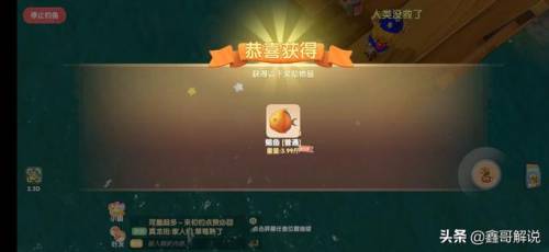 毛毛爆囧菇(杨辣毛毛虫叫什么)插图19
