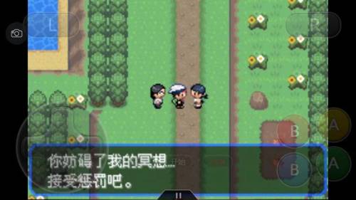 口袋妖怪绿宝石4小智版攻略(究极4小智版一周目攻略)插图69