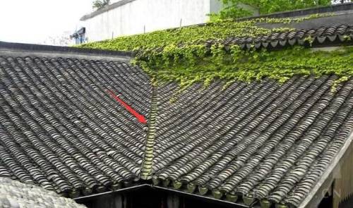 守望先锋万圣节皮肤哪个值得入手(守望先锋节日活动列表)插图24