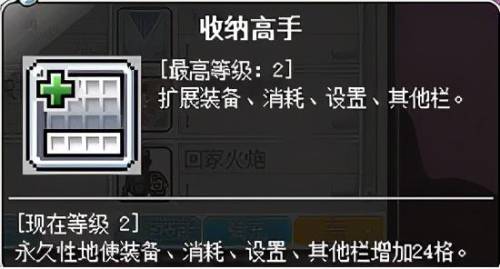 冒险岛2021法师技能加点(冒险岛法师职业推荐)插图9