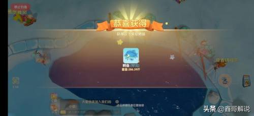 毛毛爆囧菇(杨辣毛毛虫叫什么)插图14