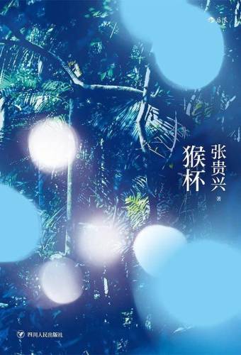 洛克王国丰羽嘴龙超进化(洛克王国公认已绝版宠物)插图12