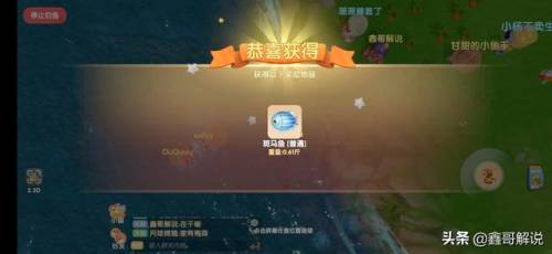 毛毛爆囧菇(杨辣毛毛虫叫什么)插图29