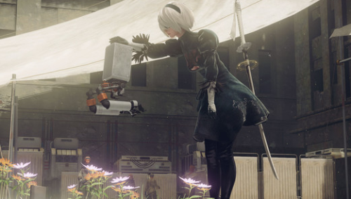 美女梦工厂4(梦工厂)插图17