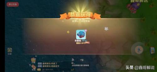 毛毛爆囧菇(杨辣毛毛虫叫什么)插图33
