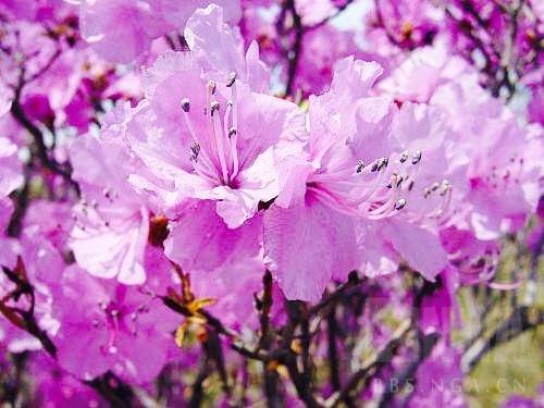 守望先锋万圣节皮肤哪个值得入手(守望先锋节日活动列表)插图29