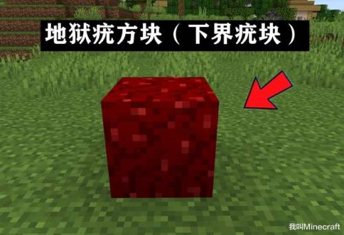 我的世界地狱疣怎么得(地狱疣有几种获得方法)插图5