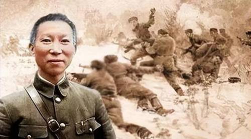 丛林之狐3(丛林之狐1是0几年出版的)插图2