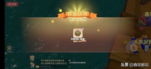 毛毛爆囧菇(杨辣毛毛虫叫什么)插图23