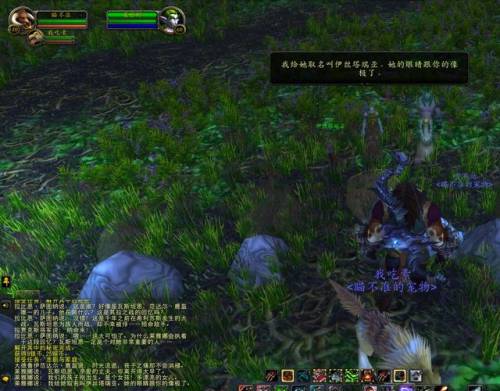 魔兽世界海加尔山熔火前线怎么去(海加尔山熔火前线稀有宝宝)插图2