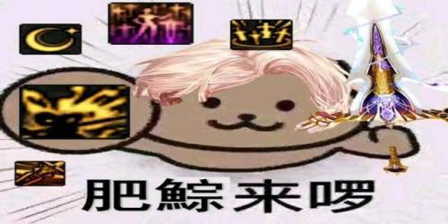 2022可以买到的宠物宝珠(买宠物狗去哪里买)插图1