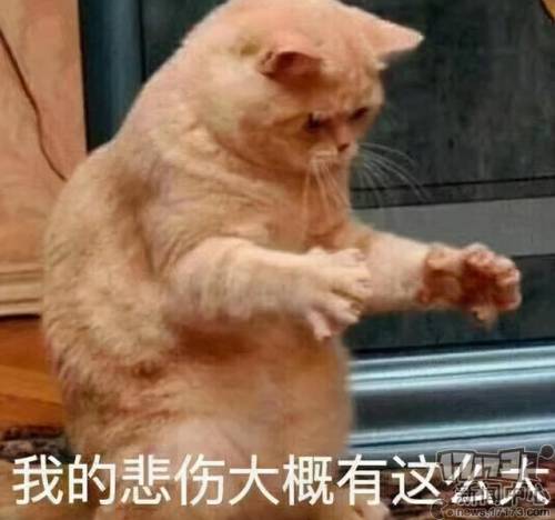 九阴真经天轮寺怎么奇遇(九阴真经天轮寺入门任务)插图7