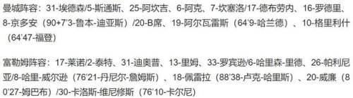 哈兰德绝杀富勒姆(安德烈·纳济莫夫)