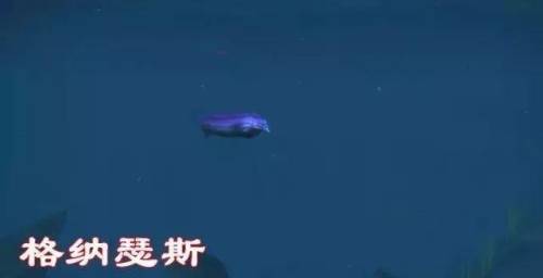 瓦斯琪尔稀有精英(乌迪尔哪个皮肤最稀有)插图3