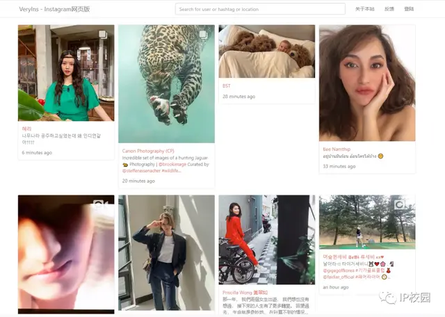 求一个梯子上外网(能上twitter的加速器)插图