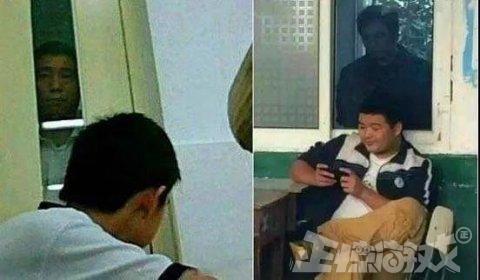 植物保卫战下架了吗(植物保卫战2安卓版游戏介绍)插图1