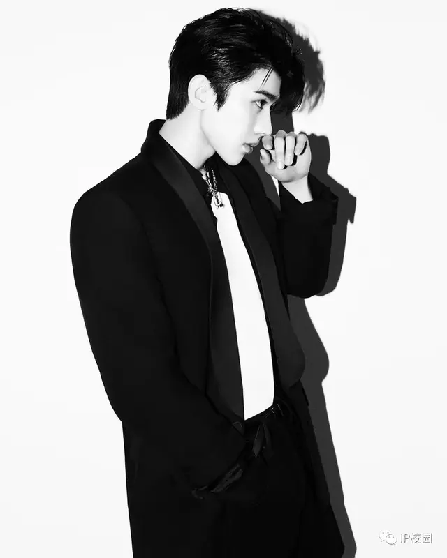 求一个梯子上外网(能上twitter的加速器)插图5